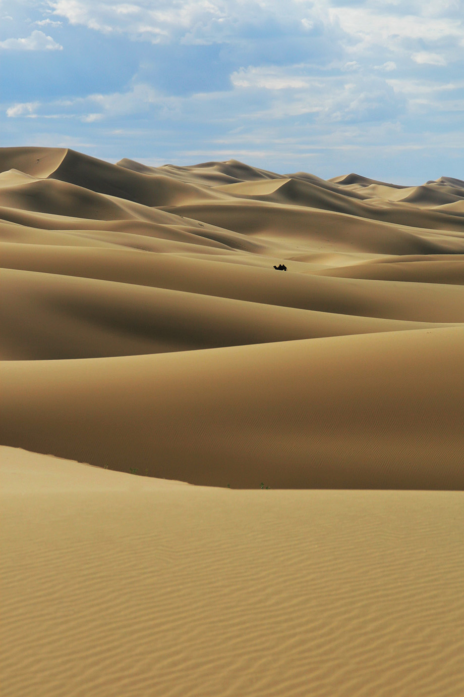 Khongor Sand Dunes in Mongolia.