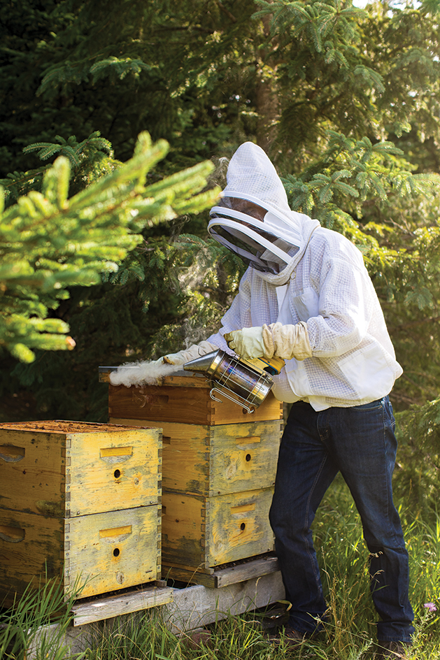 Backyard Beekeeping