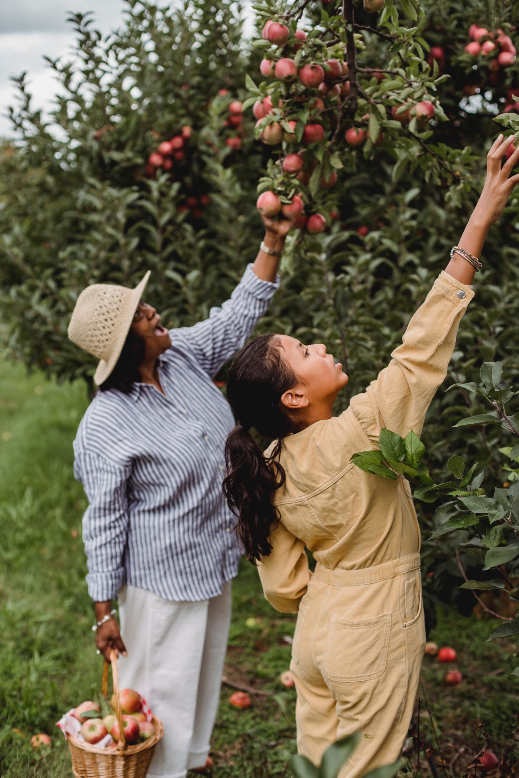 Mother and daughter picking apples.