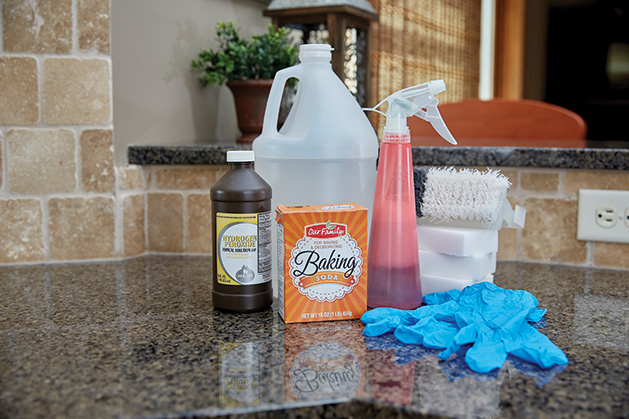 Cleaning products sit on a kitchen counter.
