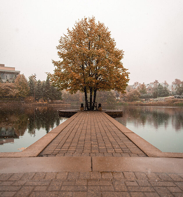 Images of Edina: Changing Seasons at Centennial Lakes Park