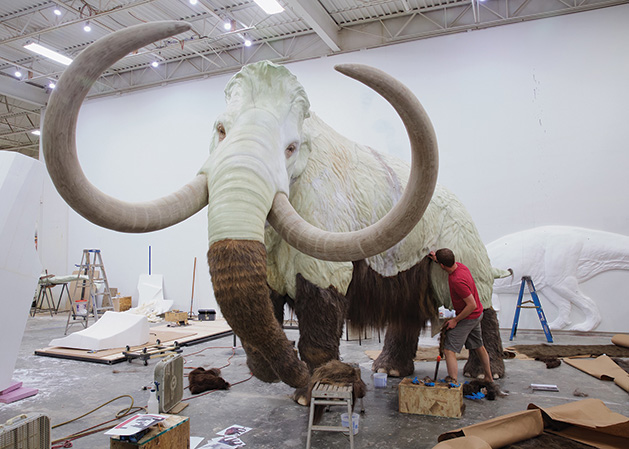 The Bell Museum woolly mammoth