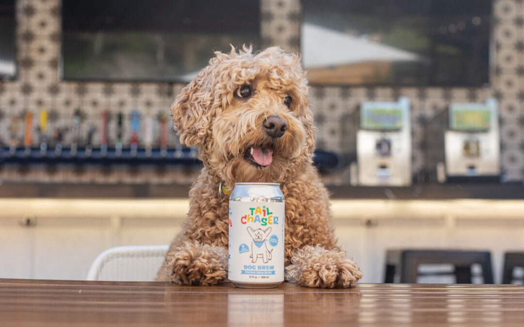 Fetch a New Kind of Drink With Tail Chaser Dog Brew