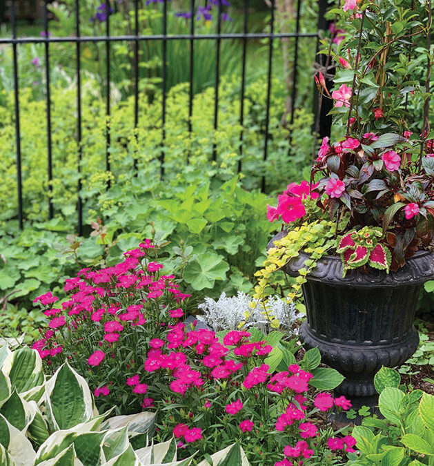 Edina’s Garden Experts Offer Tips on Summer Trends