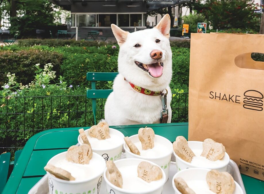 Make the Most of the Dog Days of Summer With Your Pup