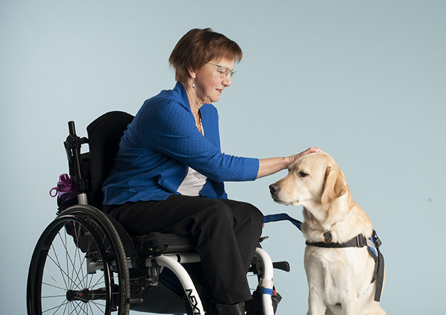 Canine Companions for Independence Dog