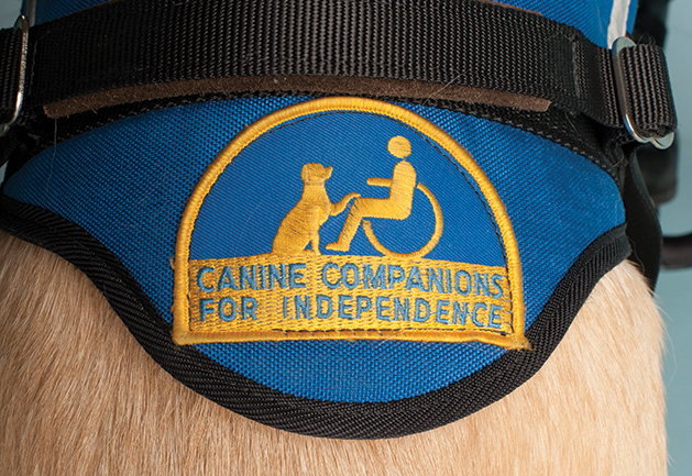 Canine Companions for Independence Dog Harness
