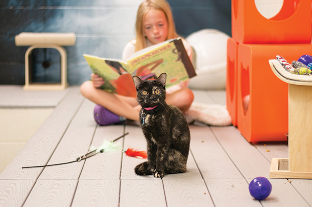 A young girl reads to a cat at the Animal Humane Society.