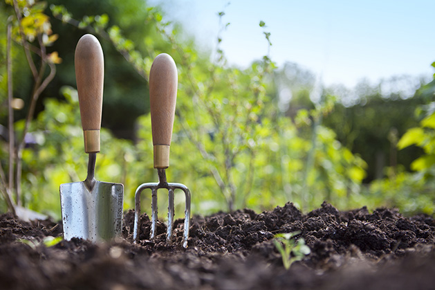 Two garden tools stand in the dirt during outdoor spring cleaning