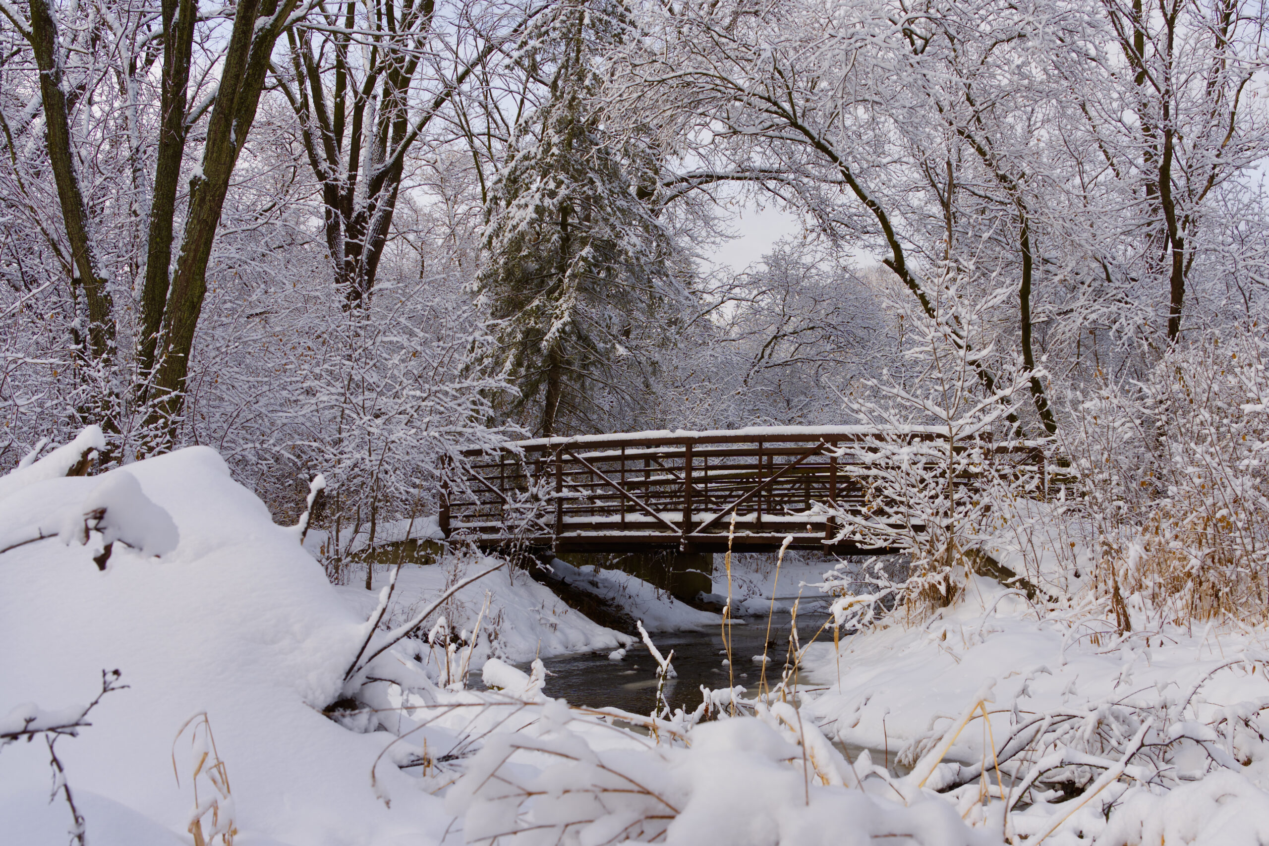 A Winter Wonderland in Bredesen Park