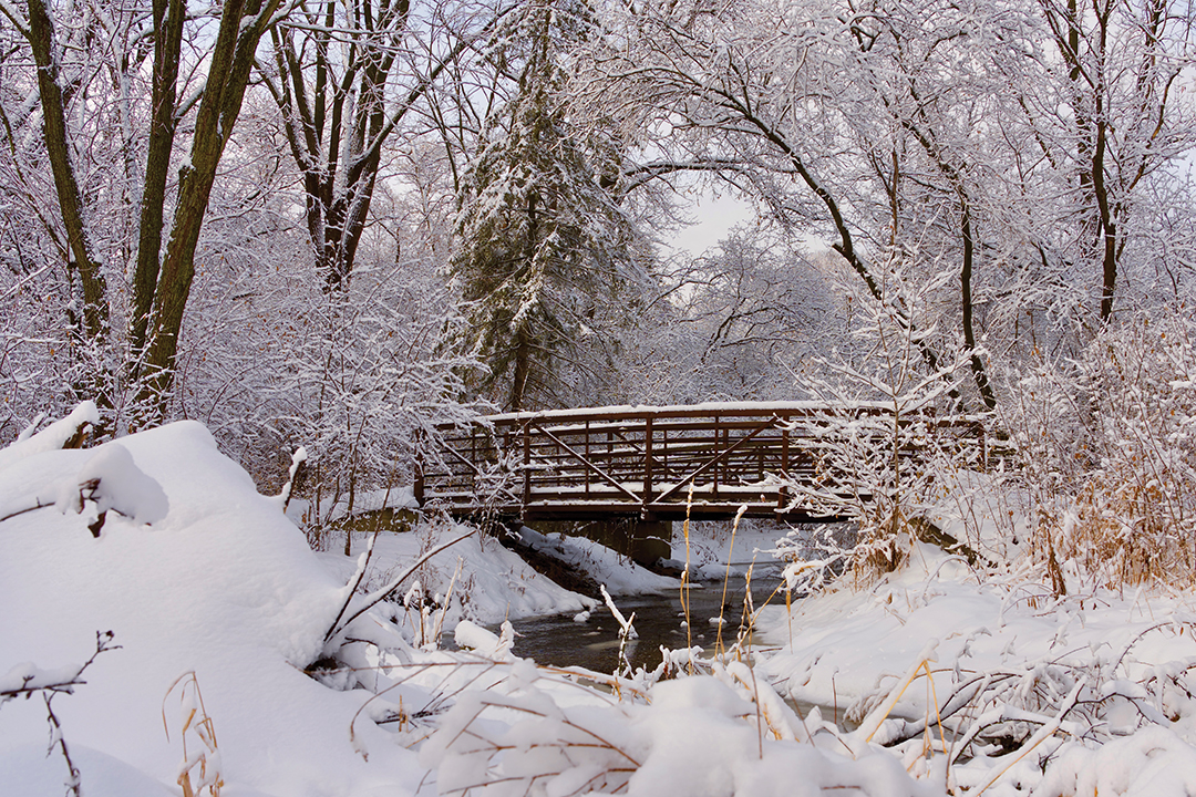 A Winter Wonderland in Bredesen Park_StephanieThomas
