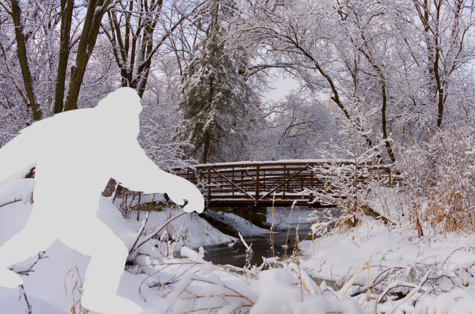 A Yeti is wandering across Stephanie Thomas's Images of Edina photo contest submission, "A Winter Wonderland in Bredesen Park."