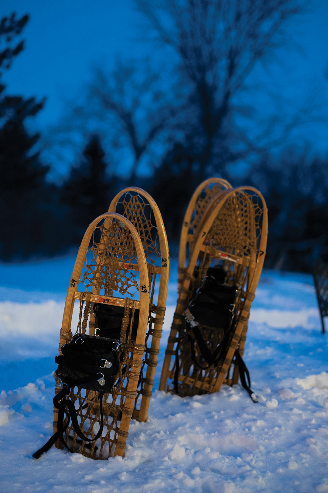 Traditional wooden snowshoes standing up in the snow at dusk, Minnesota, USA