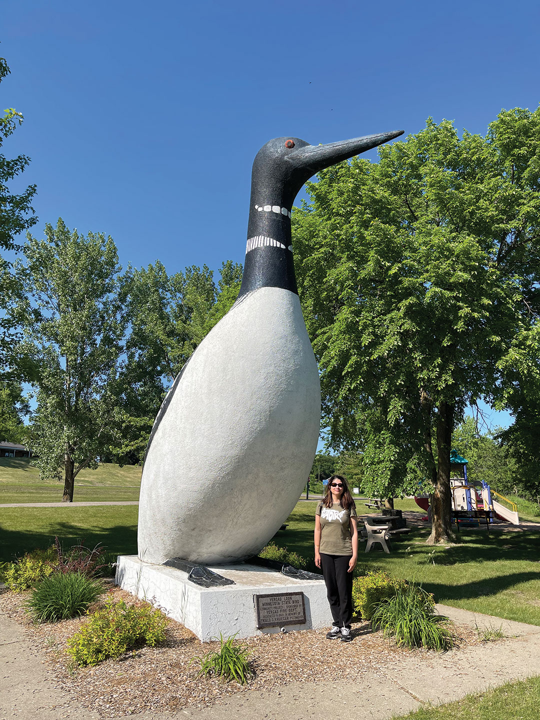 Minnesota’s Largest Loon in Vergas.