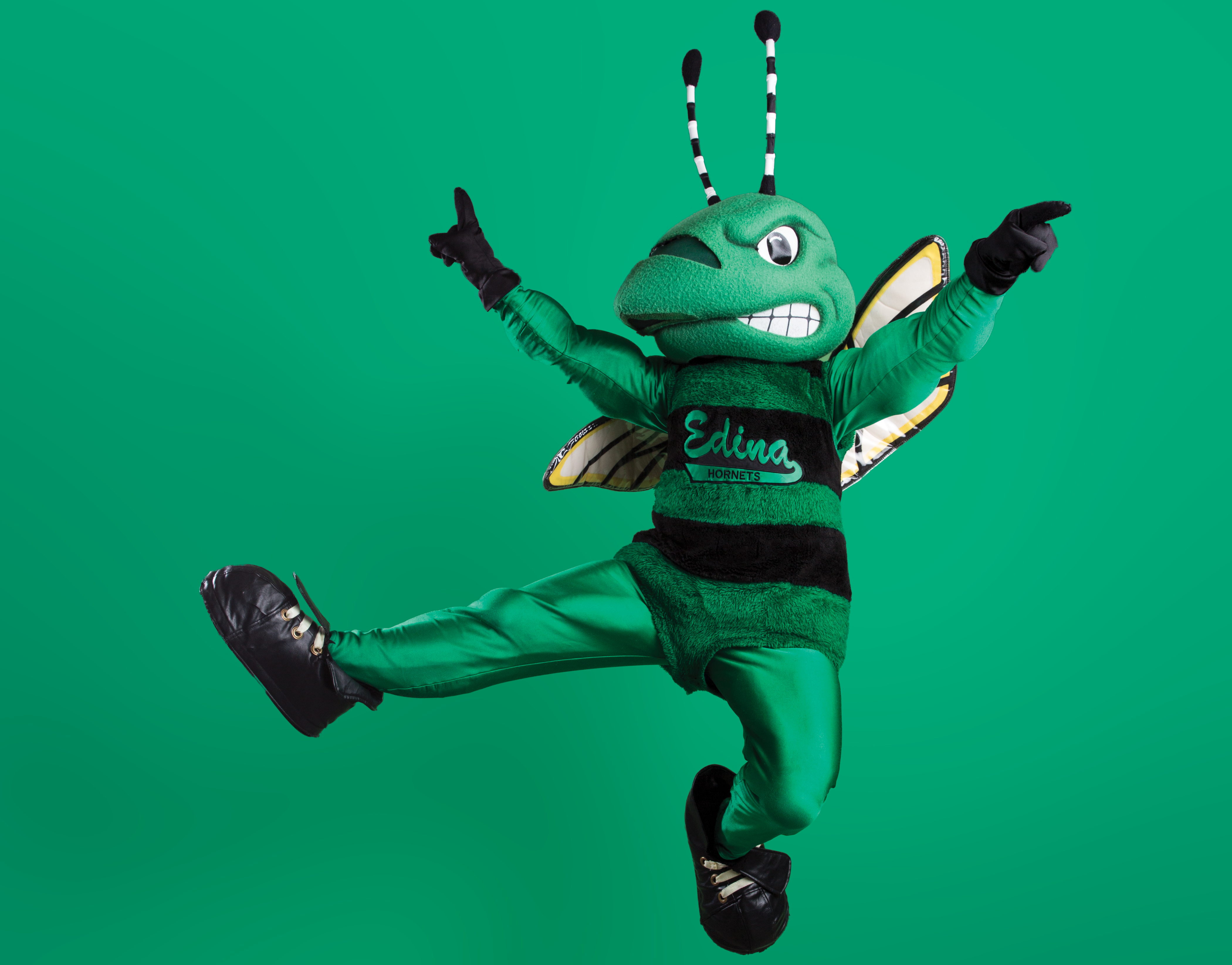 Edina Hornet Mascot