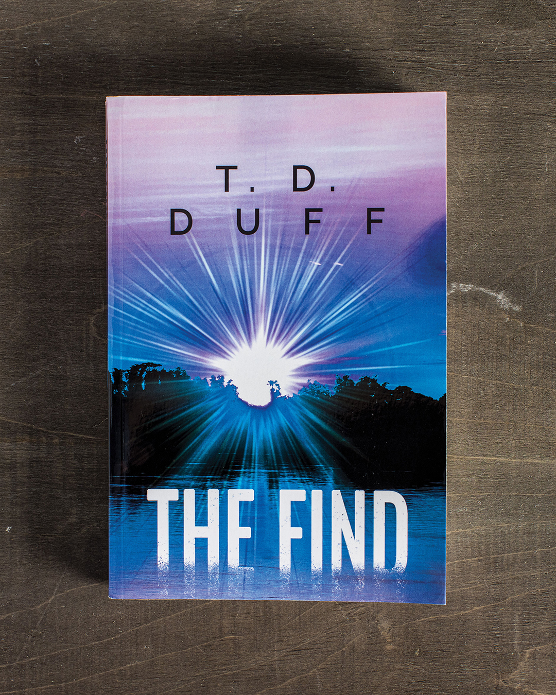 The Find novel by T.D. Duff