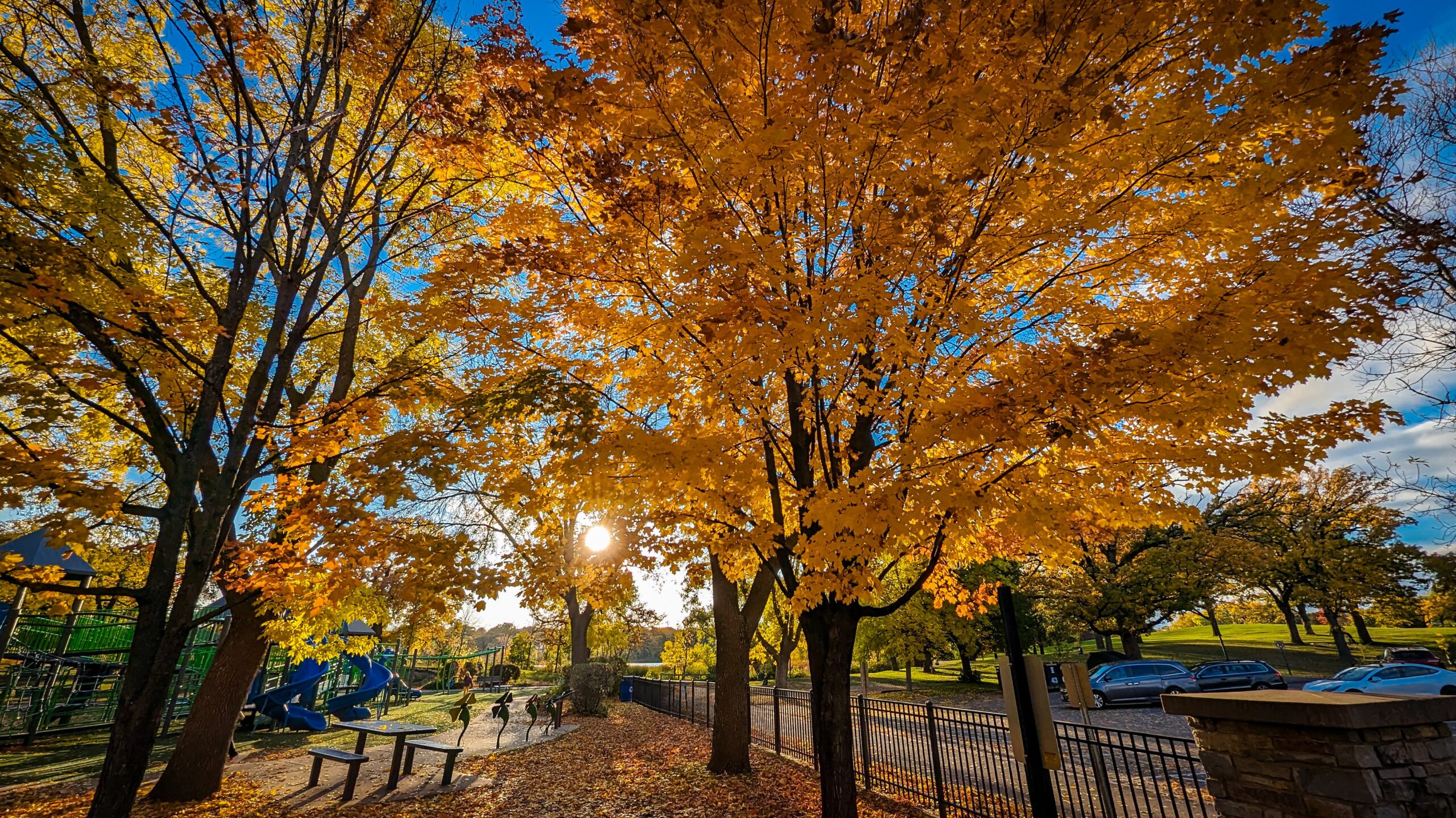 Fall evening at Rosland Park, Edina