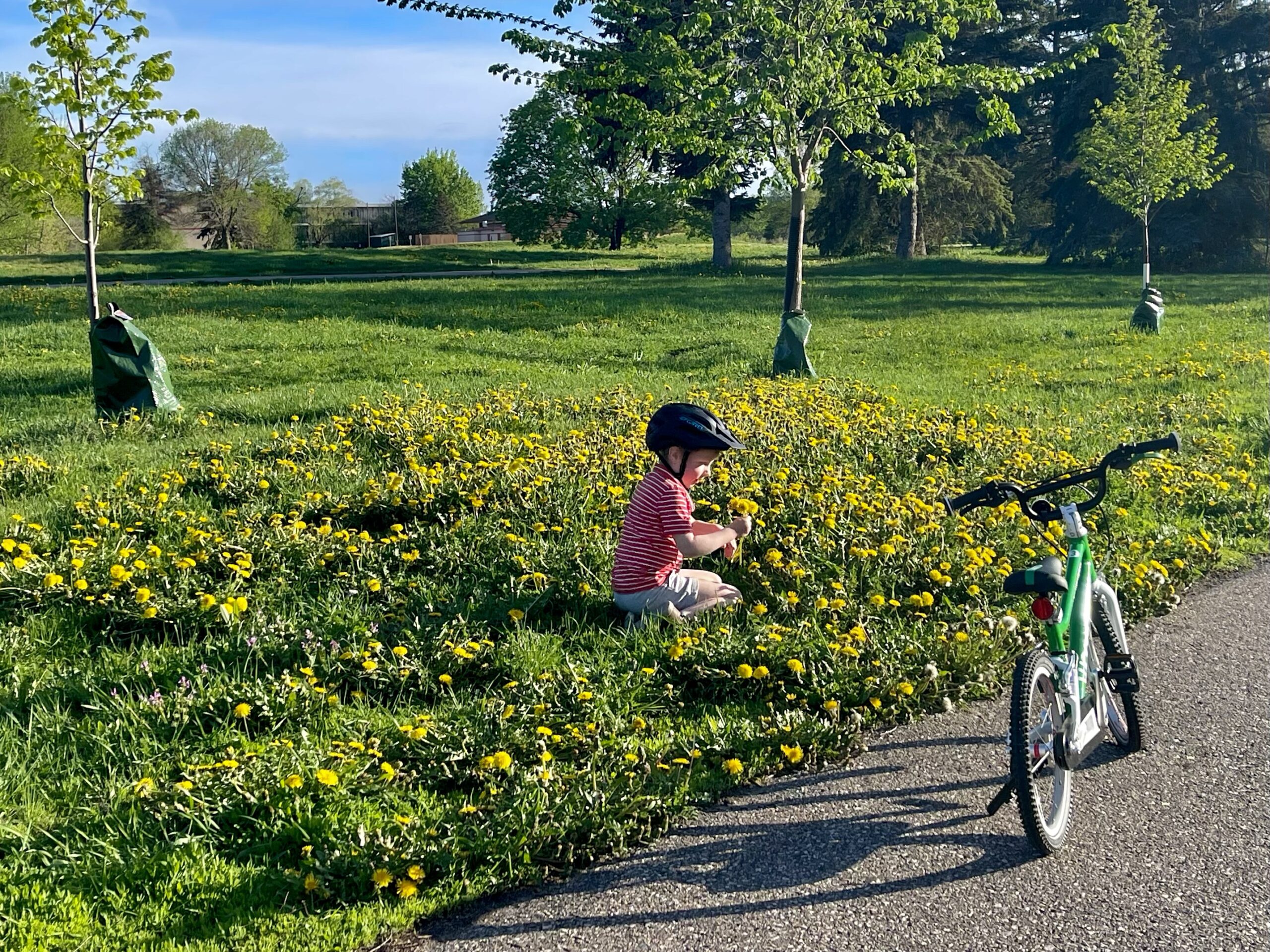 Picking Flowers for Mom