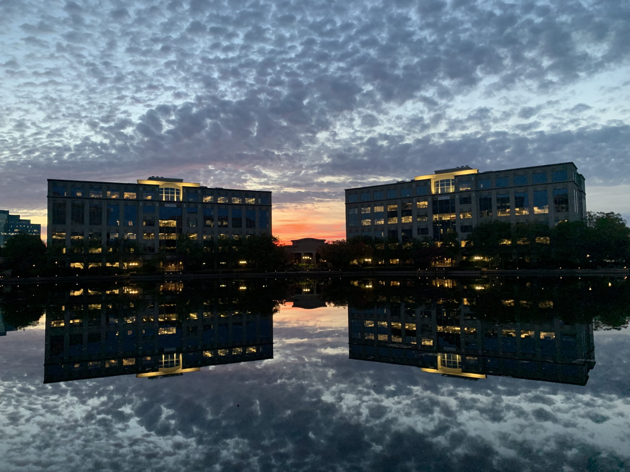 Symmetry at Sunset