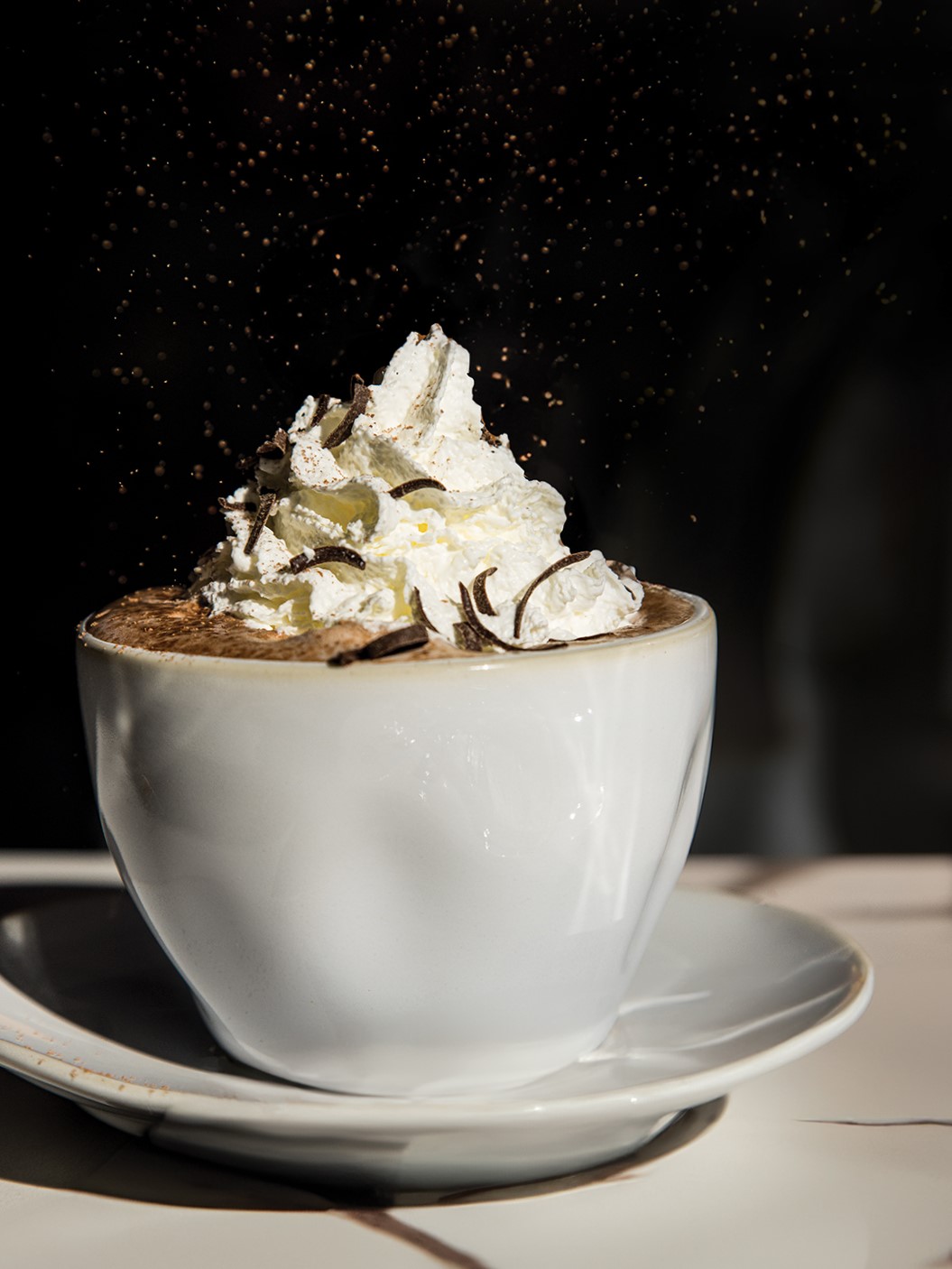 Hot chocolate is served with a dollop of whipped cream and chocolate shavings.