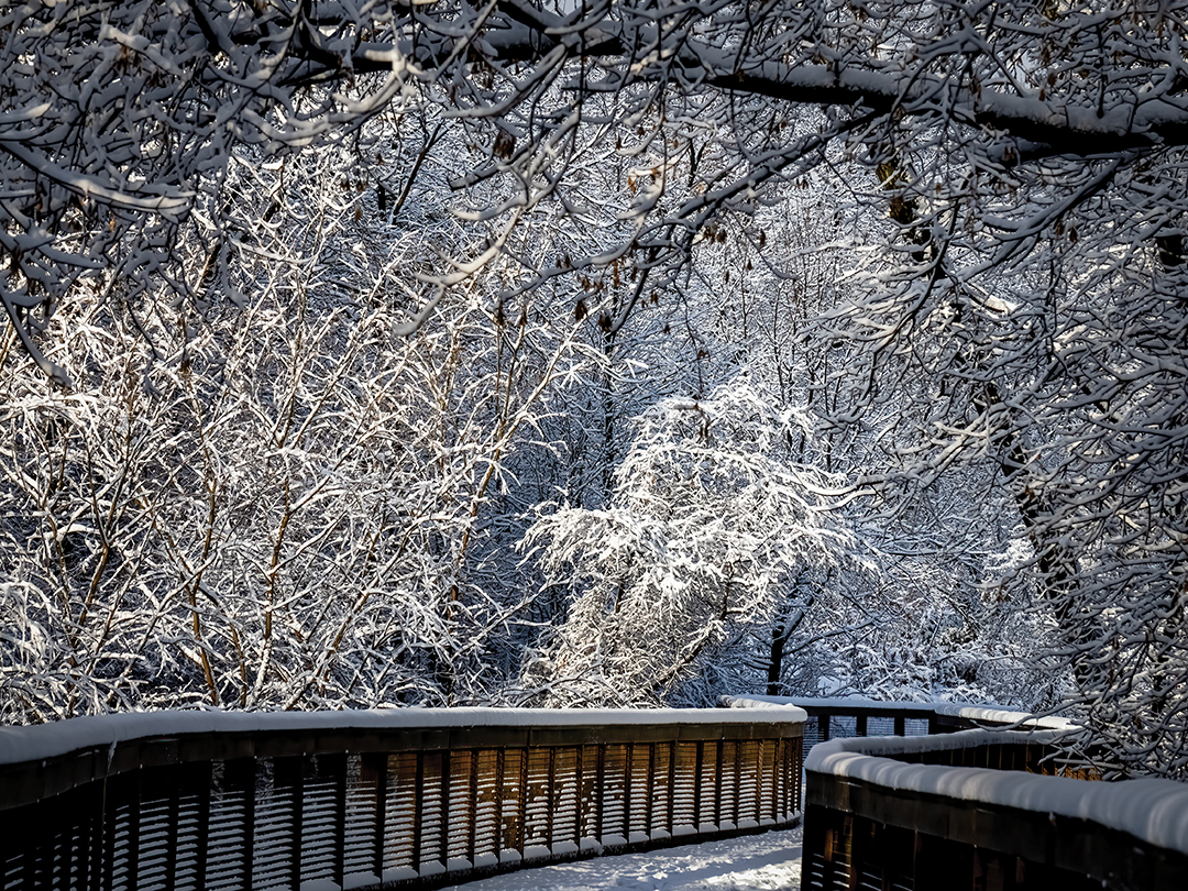 Nine Mile Creek Magic