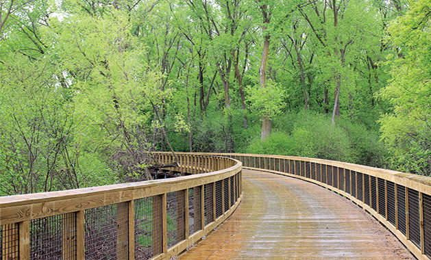 "Leaving a Trail" by Lisa Rose, winner of Images of Edina: Places category