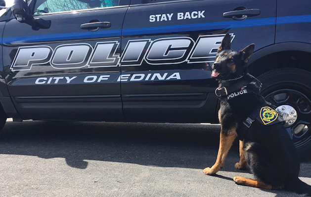 Edina K9 Dog Gryf 