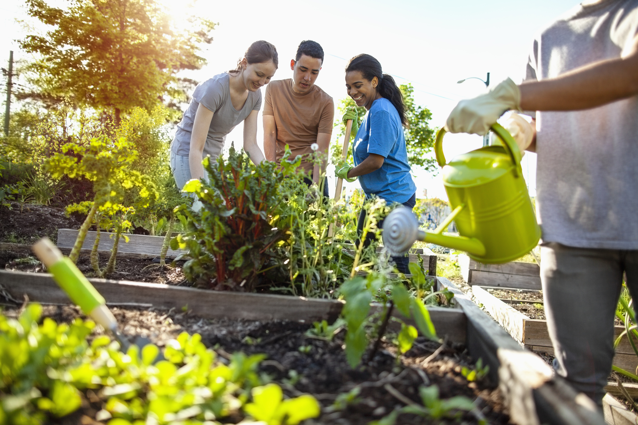 Multiracial group of young men and young women people students help to plant together smiling in local community garden public park in residential district as youth organization volunteer charity in summer