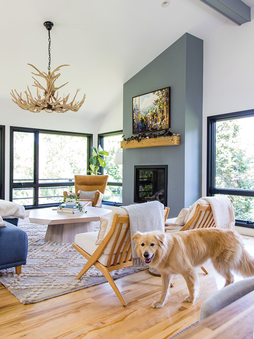 Mirror Lake Edina living room with a dog.