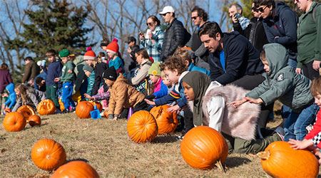 Pumpkin Smash & Bash
