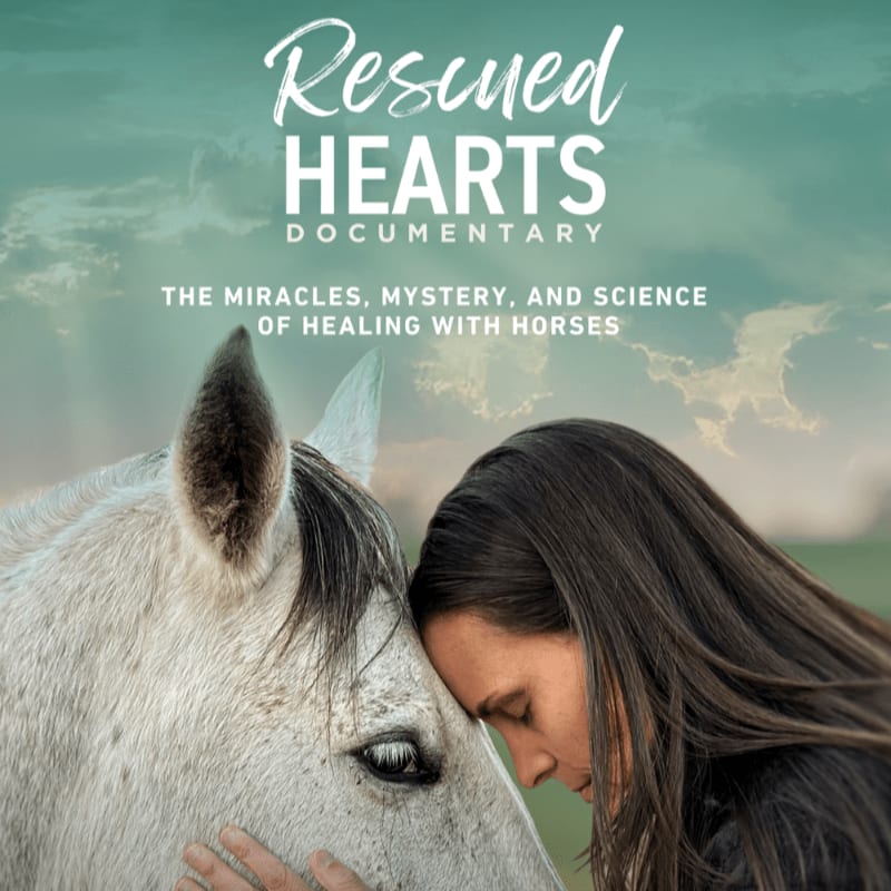 Rescued Hearts: Documentary Film Screening