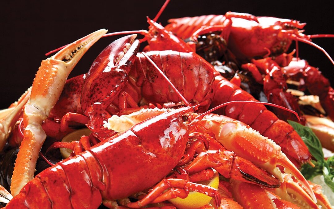 Chef Anthony Leonhardi Shares How To Cook Lobster