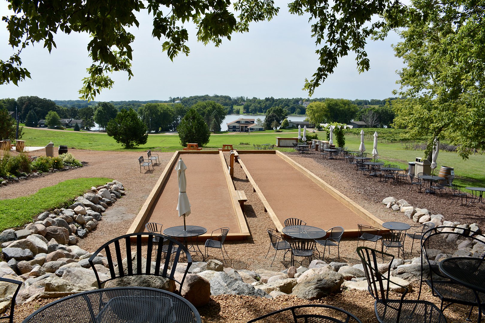 Schram Vineyard Landscape 