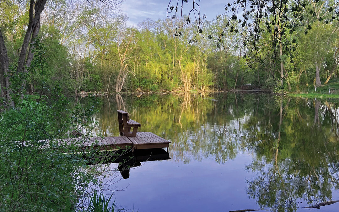 Shannon Pond in Spring