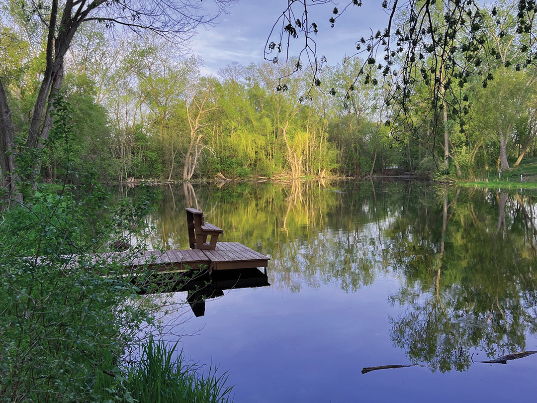 Shannon Pond in Spring