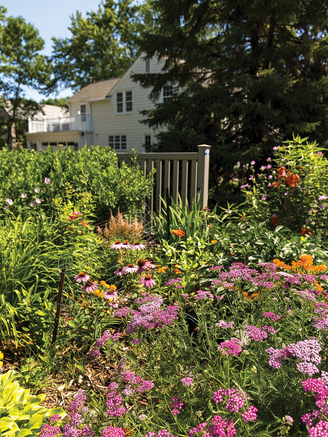 The Mays looked to Unlimited Outdoor Services to update the landscaping to modernize the home. However, the perennial gardens were left untouched. Renée May lovingly tends the garden and is including more plants suitable for pollinators, including bees and butterflies. 