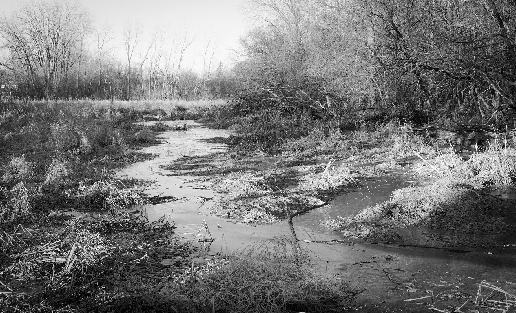 Pamela Park Channel in Winter