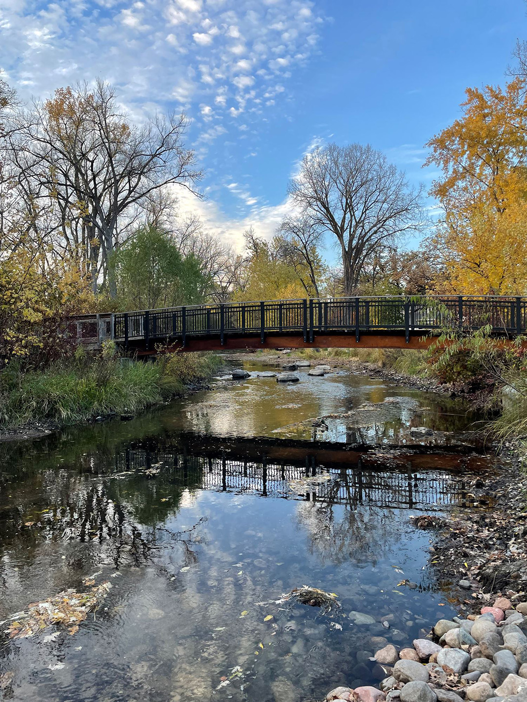 Fall at Arden Park