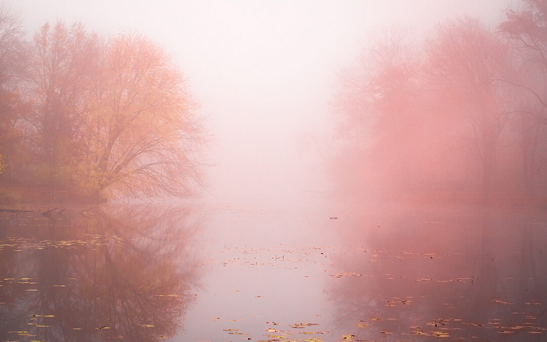 Foggy Fall Reflections