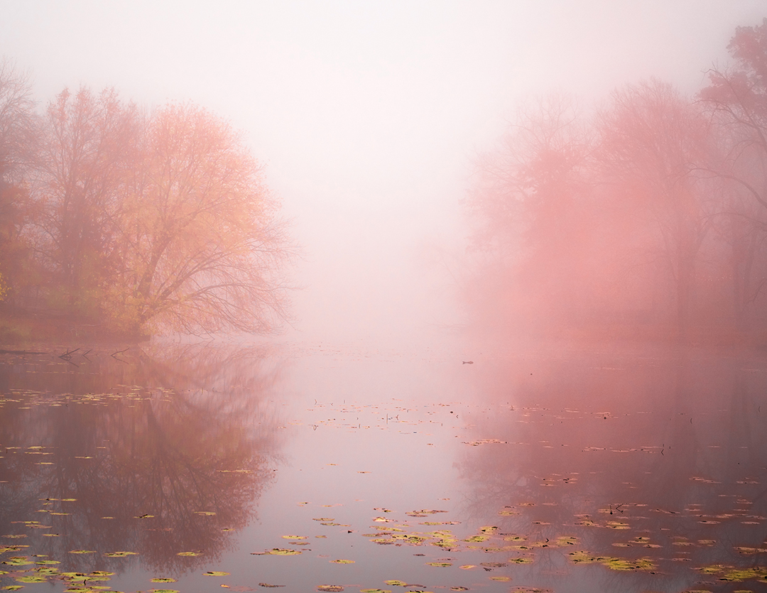 Foggy Fall Reflections